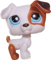 #0151 Jack Russell